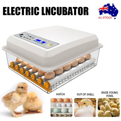 Chicken Duck Egg Incubator Automatic Digital Turner Poultry Hatching Machine
