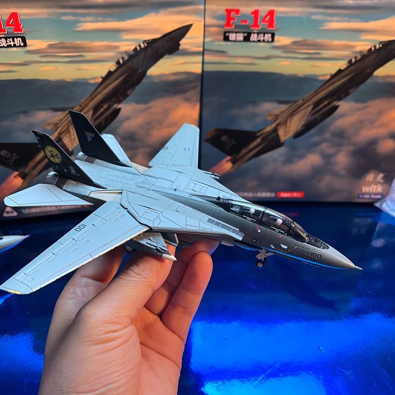 1:100 F-14B Male Cat Fighter Metal Model Wing Variable Bomb Cat Painting