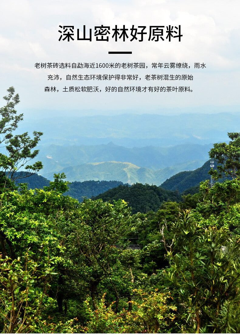 Haiwan Tea 2011 Menghai Old Tree Tea Brick Ripe Pu-erh Pu Er Tea 500g Box