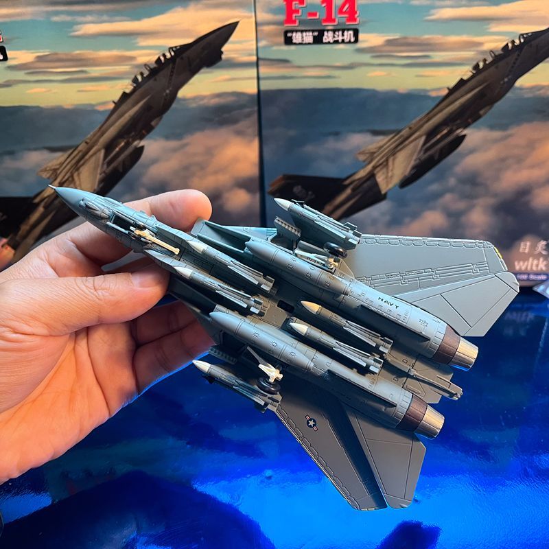 1:100 F-14B Male Cat Fighter Metal Model Wing Variable Bomb Cat Painting