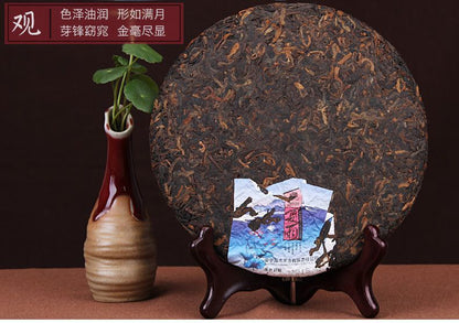 Summer Rain * 2016 Haiwan Old Comrade Xia Yu Mengsong Ancient Puer Ripe Tea 400g