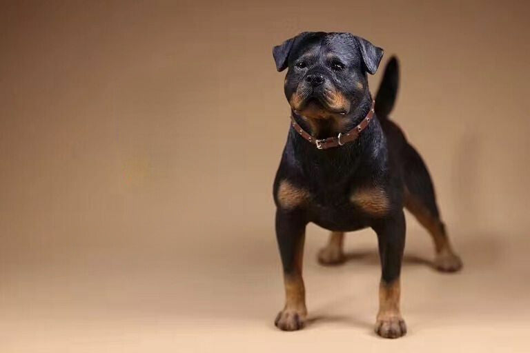 9" Realistic Rottweiler Stand Dog Life Like Figurine Statue Home