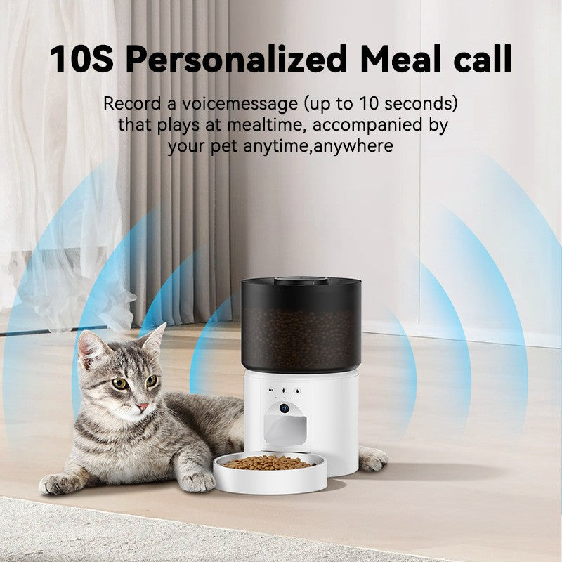 Automatic Cat Feeder Food Dispenser: 3L Timed Small Dog Dry Food Dispenser