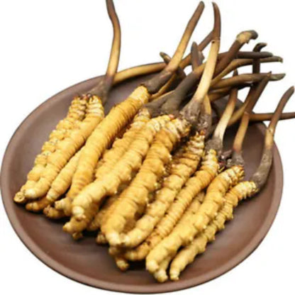 HelloYoung Wild Cordyceps 5g 10-15pcs Himalaya Herbal Tea Energy Boost Daily