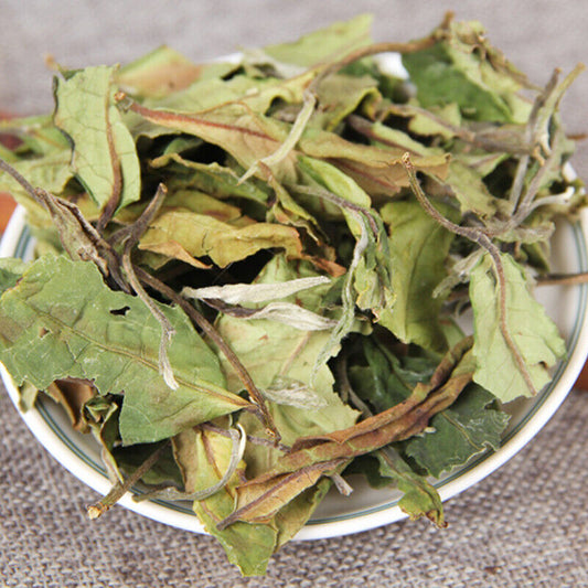 500g Organic Loose Leaf White Tea White Tea Top Yunnan Big Leaf Honey Flavour
