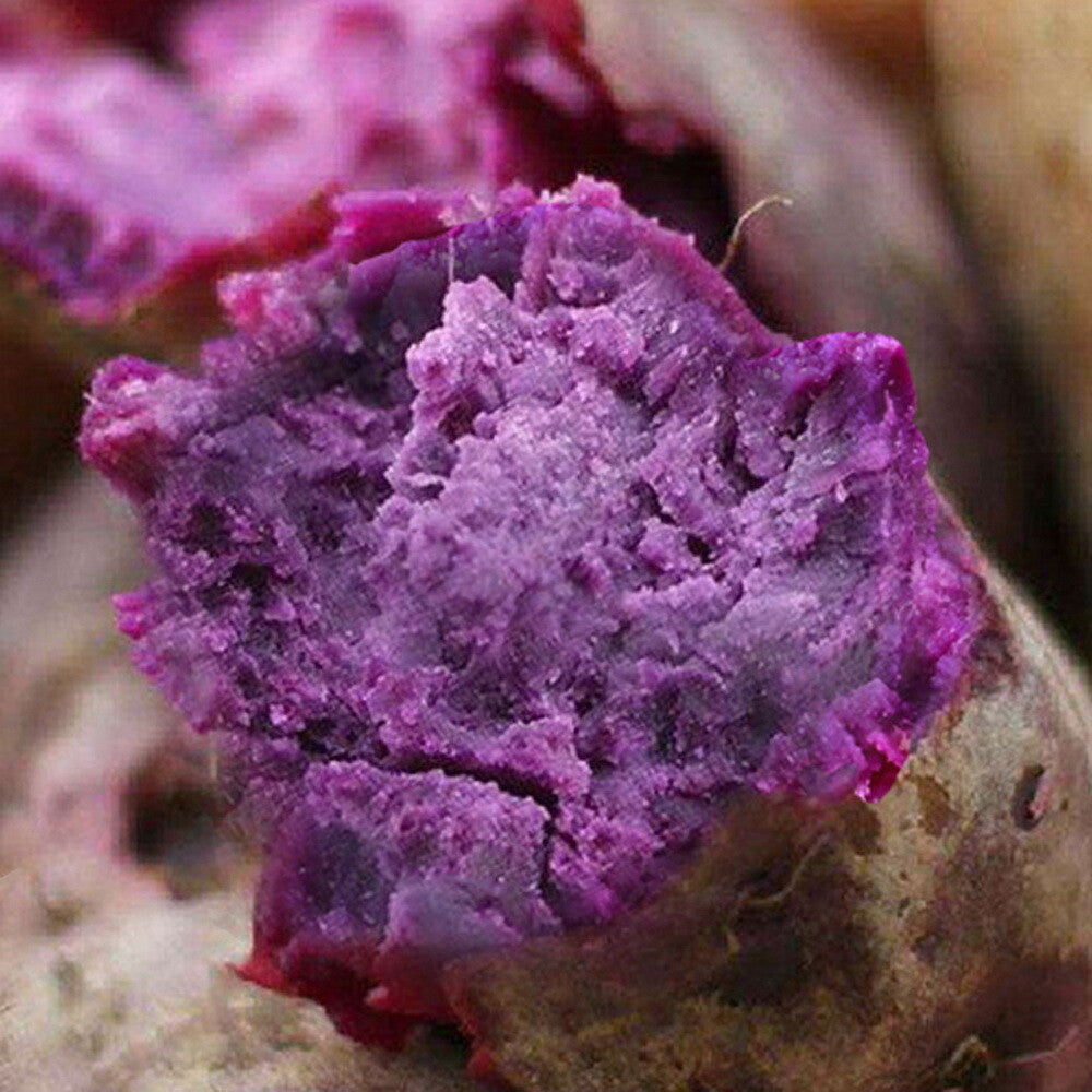 HelloYoung Organic Purple Sweet Potato Powder 100g High Antioxidant Healthy Food