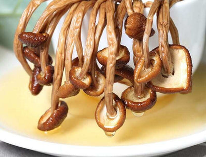 Dried Tea Plant Mushrooms Pure Natural Agrocybe Aegerita Great Quality