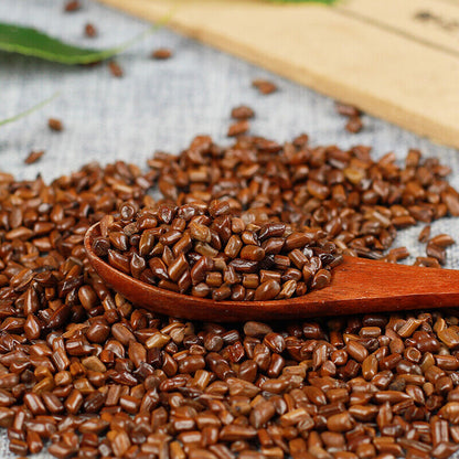 Chinese Healthy Herbs Bulk Cha Cassia Seeds生决明子juemingzi 500g