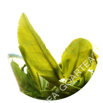 250g Nonpareil Supreme Suzhou Biluochun Green Tea Spring Chinese Pi lo Chun