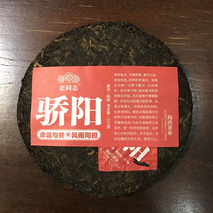 "Jiao Yang" 2020 Haiwan Blazing Sun Ripe Puerh Chinese Tea Shu Puer Tea 357g