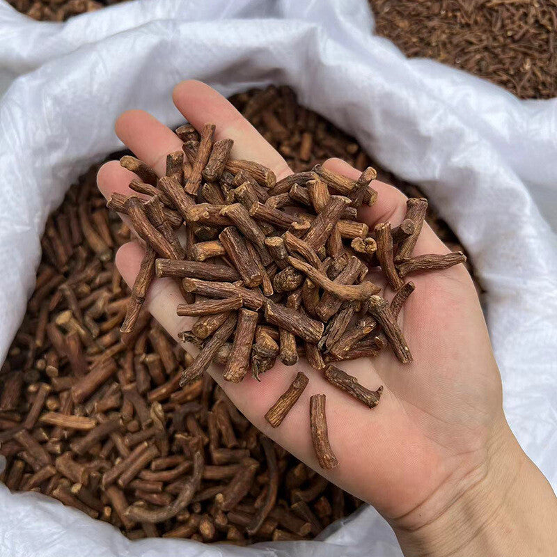 Loose-leaf herbal tea dandelion root蒲公英