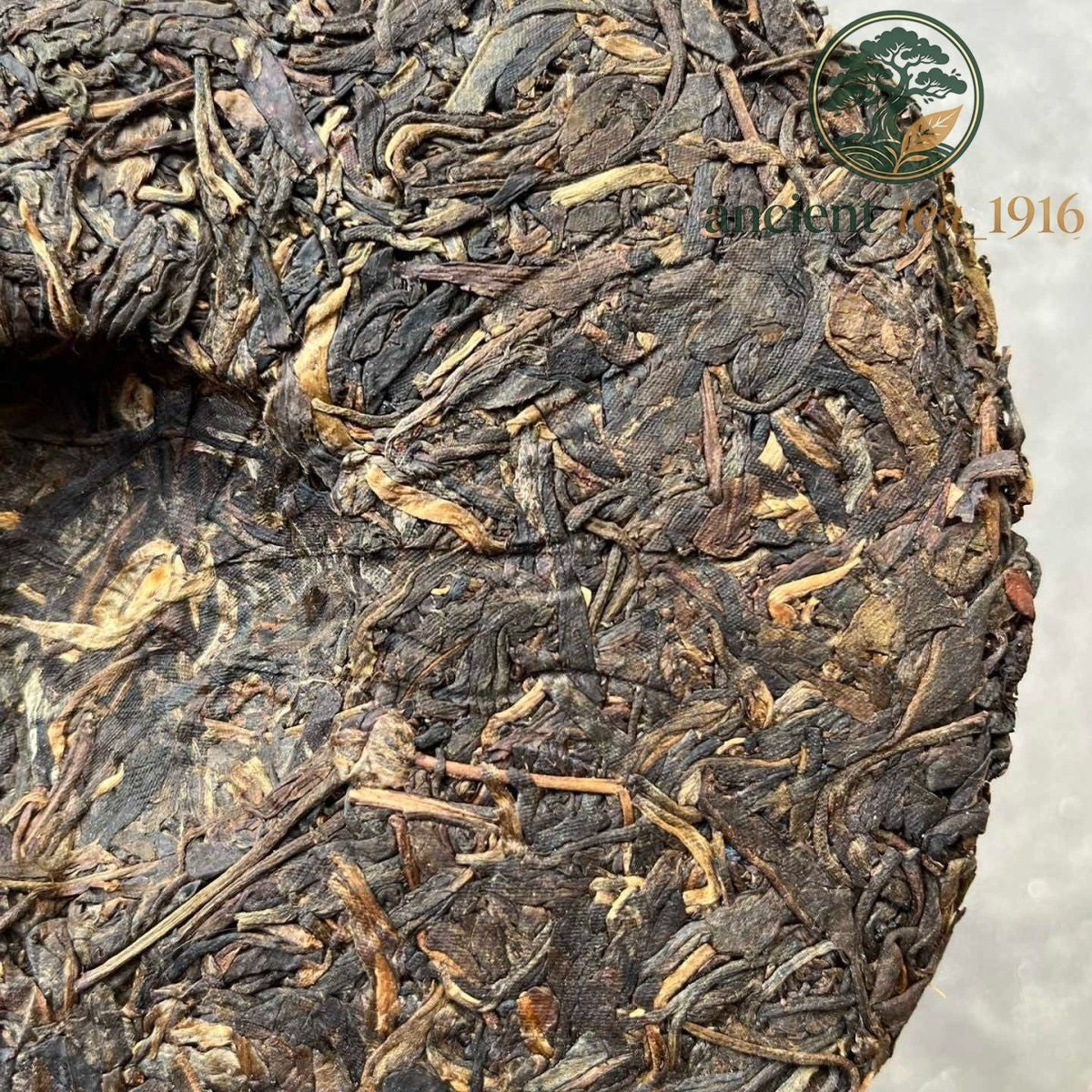 357g 2004 Yunnan Hualian Blue Print Old Banzhang Cake Ecological Wild Ancient