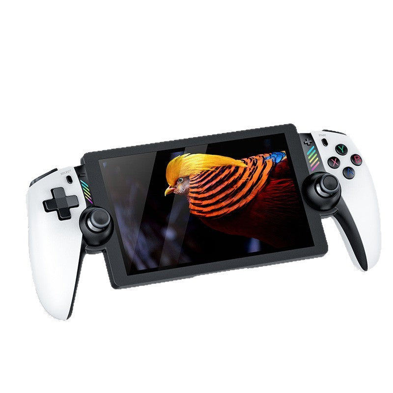Classic Retro 3D Dual Joystick 7-Inch Gaming Console with Large PS2 Game Support