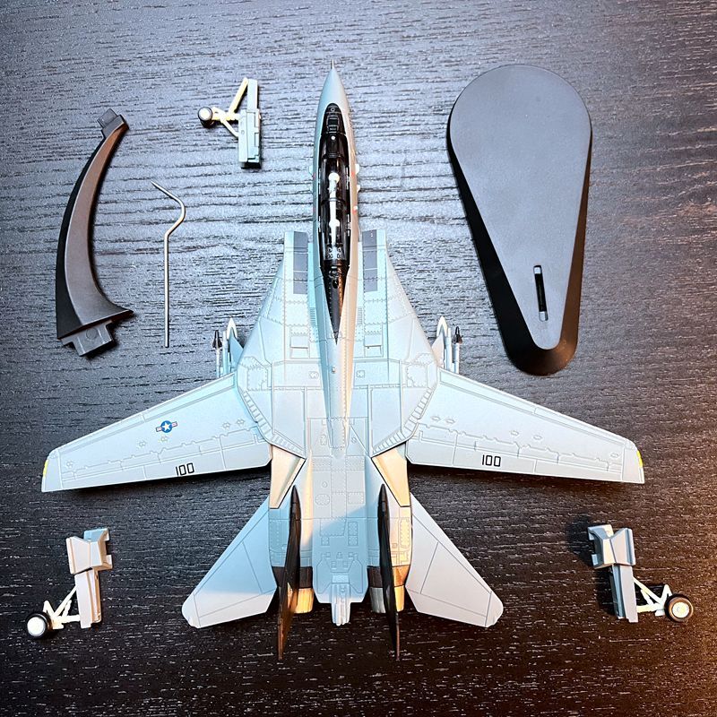 1:100 F-14B Male Cat Fighter Metal Model Wing Variable Bomb Cat Painting