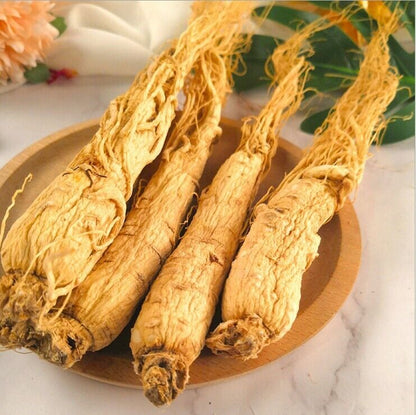 LARGE whole Panax Korean White Ginseng Roots,CHINA Top Herbal,Bai Ren Shen Roots