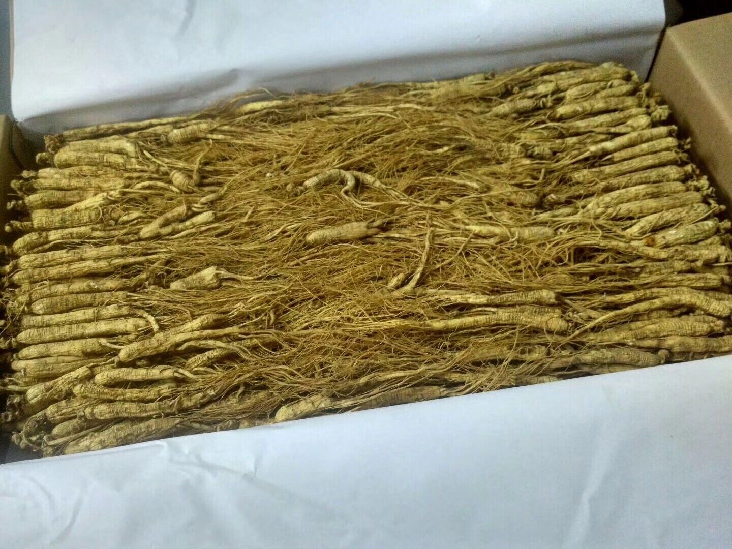 Dry Transplant Wild Ginseng Root 10-15 Years relative integrity Chinese ginseng