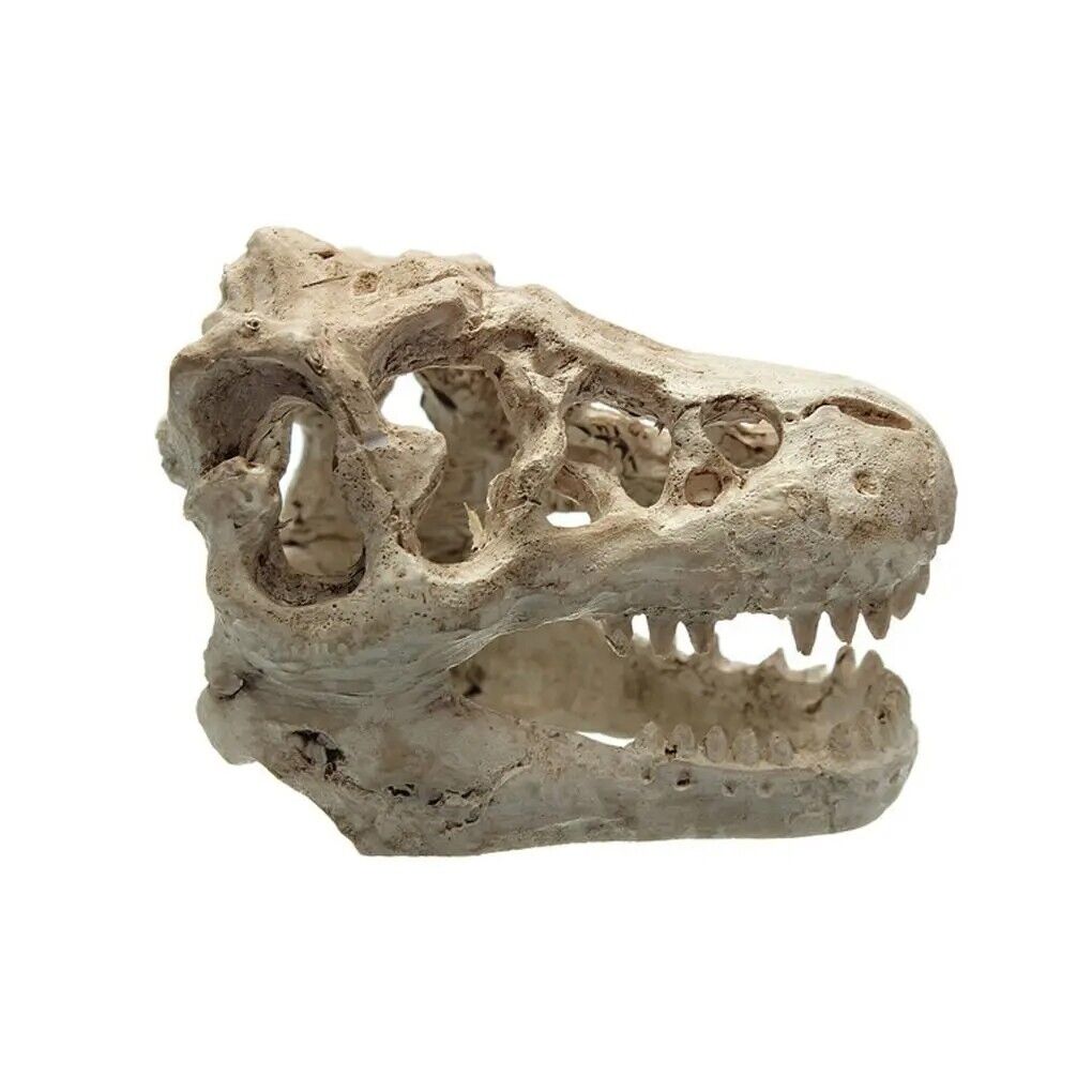 Aquarium Decor Resin Crocodile Skull Terrarium Fish Tank Ornaments 8.5x5.5x4.5cm
