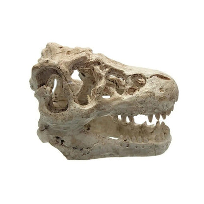 Aquarium Decor Resin Crocodile Skull Terrarium Fish Tank Ornaments 8.5x5.5x4.5cm