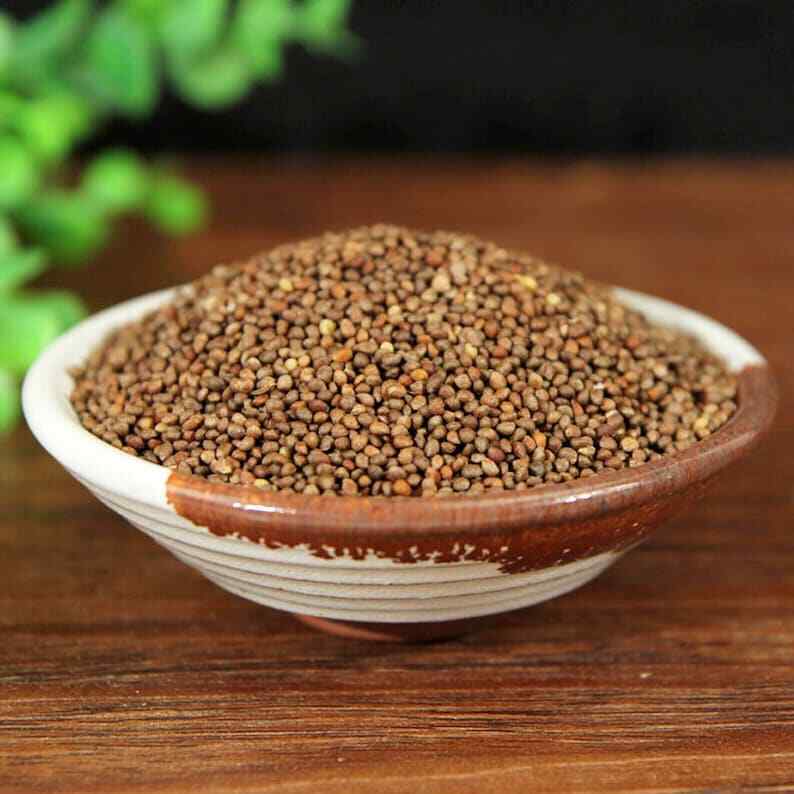 Perilla Fruit Fructus Perillae Perilla Frutescens Natural Makes A Healthy Tea