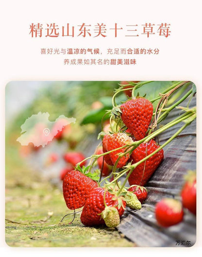Natural Freeze-Dried Strawberry Bits - 500g, Crispy Delicious