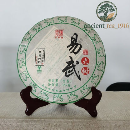357g 2019 Chen Sheng Hao Yi Wu Big Tree Puer Raw Tea Cake Base Pure Material