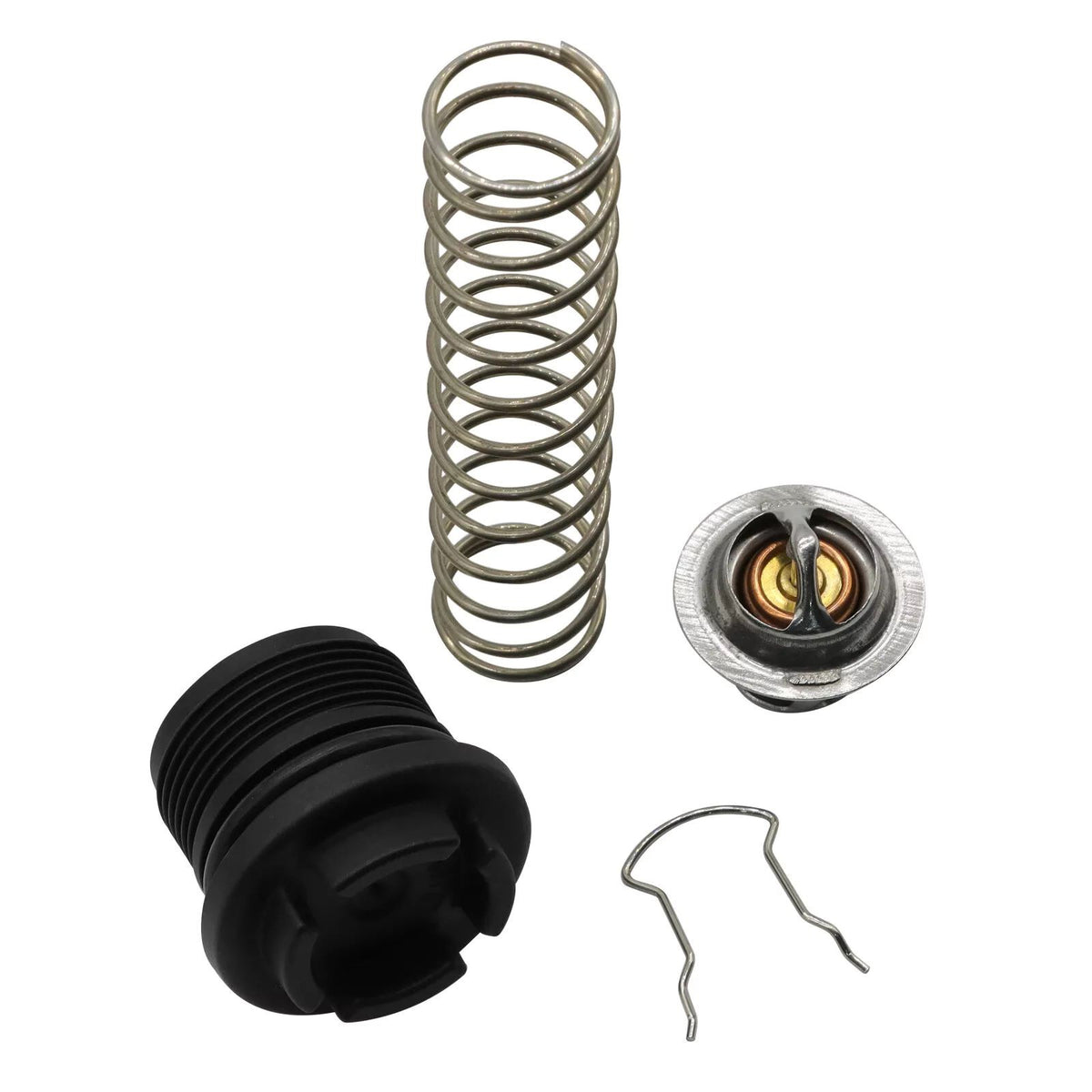 Plastic+Metal 77707-0010 Thermal Regulator Replacement Kit For Pentair Pool Spa