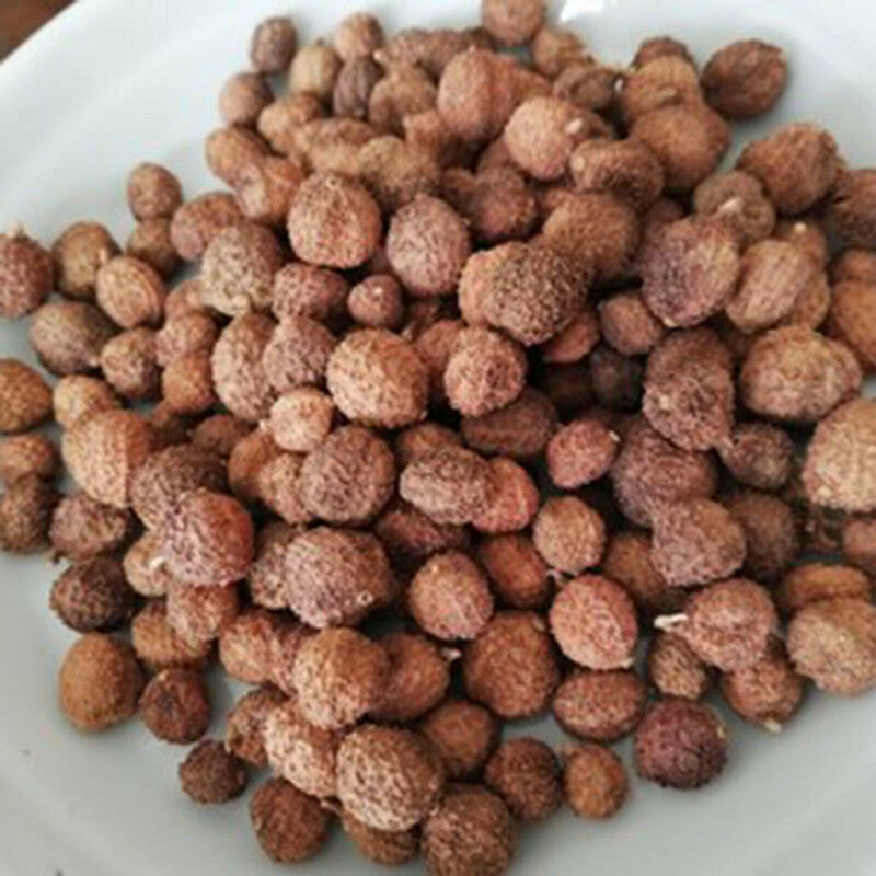 100g 春砂仁 Chun Sha Ren 干果 广东煲汤 泡茶 泡酒 养胃养生茶 高品质 Healthy Herbal Tea