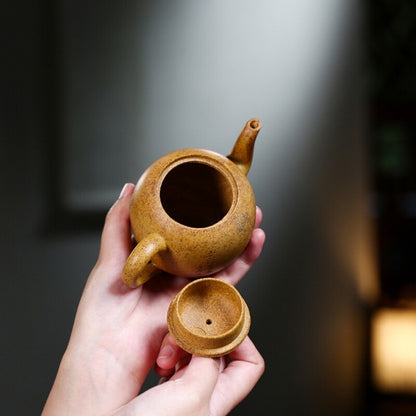 Handmade Tea Pot 9 Infuser Holes Real Yixing Zisha Duan Clay Marked Beauty Carve