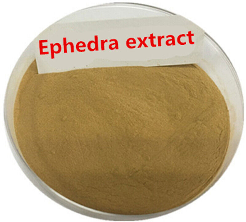 20:1 Wild Natural Puer Herbs Green MH Tea Powder huang Herbal extract