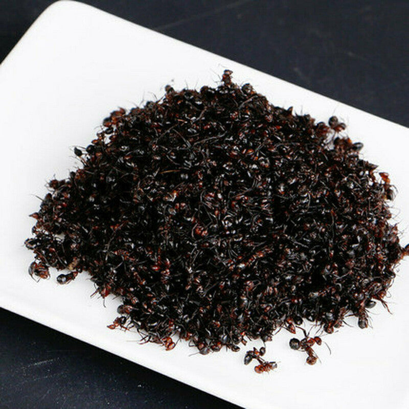 500g Premuim China Wild Chang Bai Shan Mountain Black Ant Vic Roger Polyrhachis