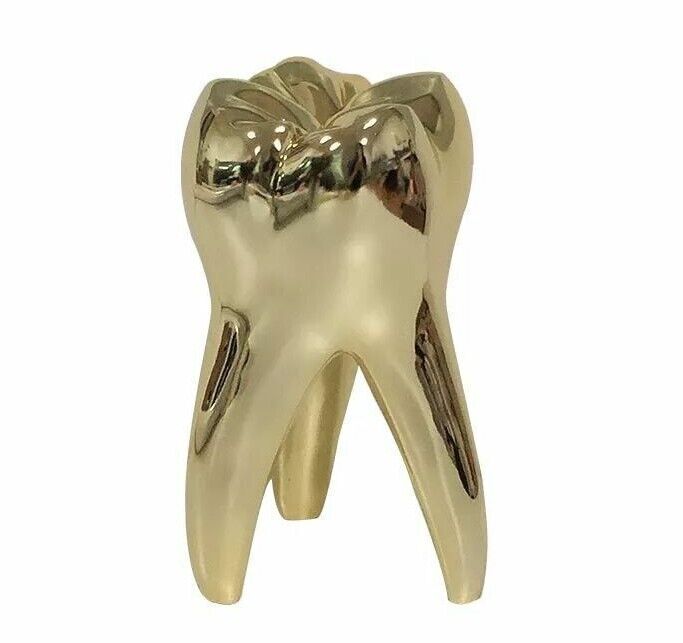 Golden Tooth Model Figurines Dentist Gift Ornament Crafts Sculpture Resin 14x8cm
