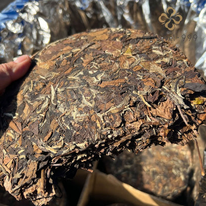 350g White Tea Cake Fuding 2016 Aged Mountain Shoumei Gongmei Jujube Leaf Tea