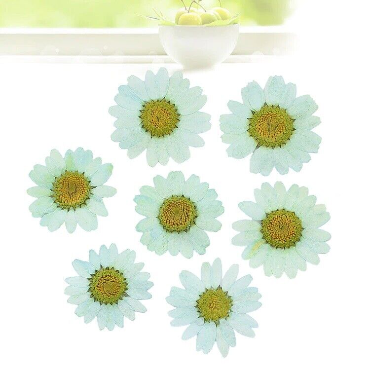 Dried Flowers Pressed Dry Daisy Epoxy Resin Jewelry Making Materials 120Pcs/Lot
