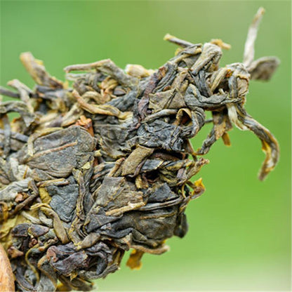 Raw Pu Erh Tea Cake Yunnan Highland Ancient Tree Sheng Pu erh 357g