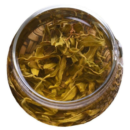 125g/Can Lobelia Tea First Crop of Young Shoots Authentic New Buds Lobelia Leaf