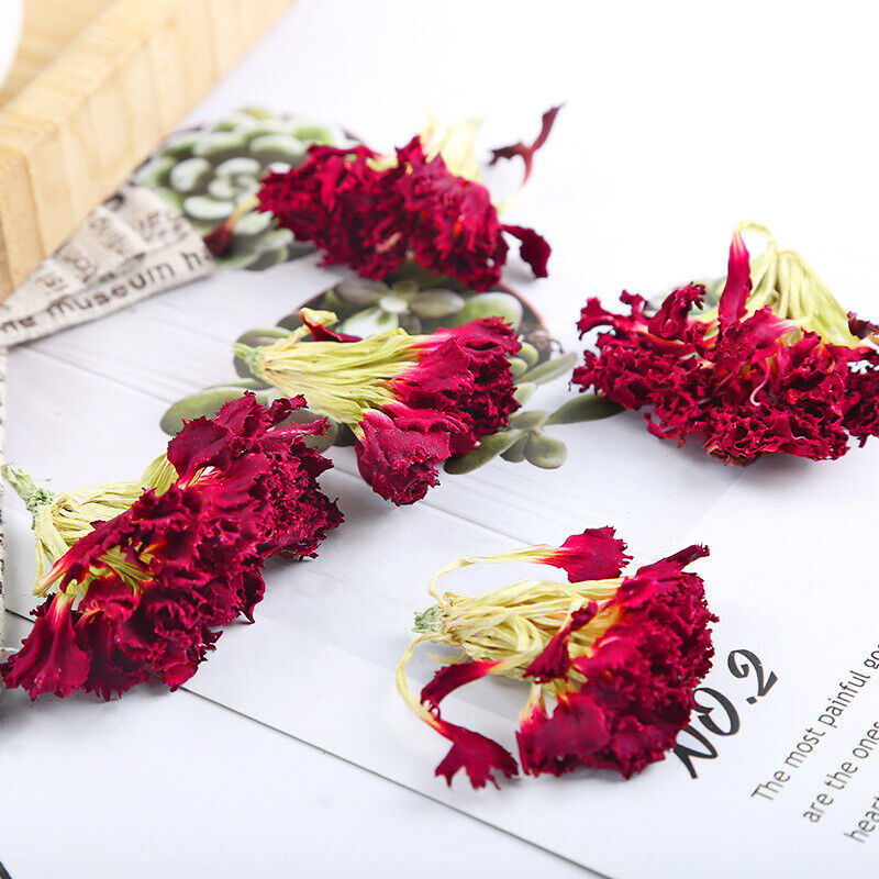 Dried Carnations Dried Coneflowers Coneflowers Bulk Herbal Tea 500g