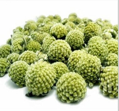 Tibet Green Radish Tea 50g Shirley Wild Flower Tea Top Scented Tea FOR BEAUTY