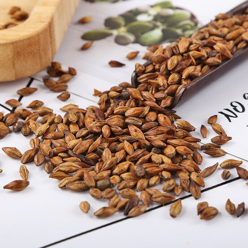 Bulk Barley Tea Roasted Barley Tea 500g