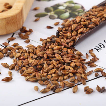 Bulk Barley Tea Roasted Barley Tea 500g