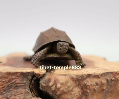 2.16" Chinese Pure Bronze Amulet Tortoise Turtle longevity Fengshui Sculpture