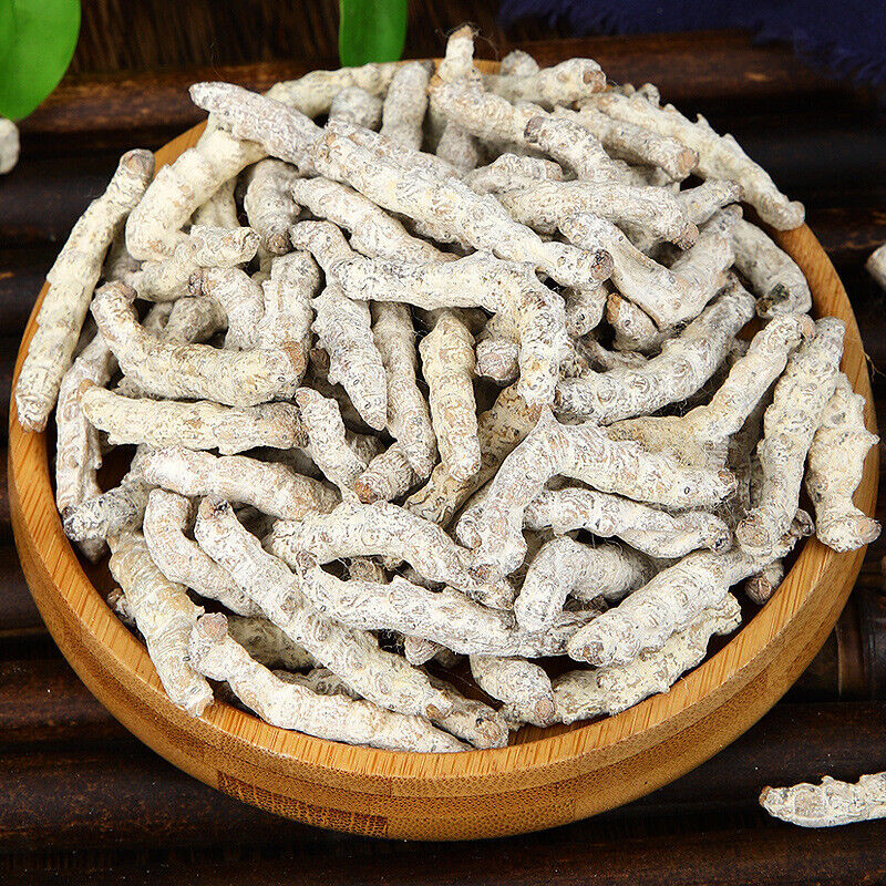 Stiffworms Chinese Herbal Medicine Stiffworms White Stiffworms 500g/1.1lb