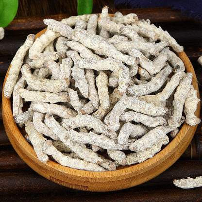 Stiffworms Chinese Herbal Medicine Stiffworms White Stiffworms 500g/1.1lb