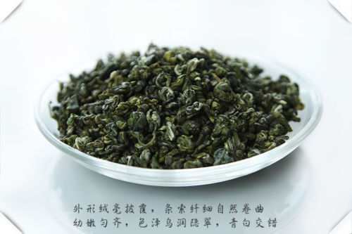 Biluochun Green Tea Premium Organic Loose Leaf Chinese Tea 100g
