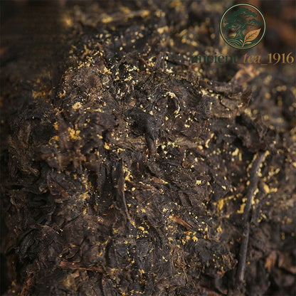 318g Anhua Baishaxi 1953 Hei Cha Royal Fu Cha Dark Tea Golden Flower Brick Tea
