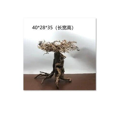 Aquarium Ornament Wood Bonsai Christmas Tree Tank Moss Trunk Driftwood DIY Decor