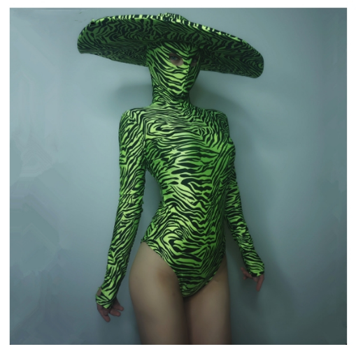 Big Hat Women Nightclub Green Black Zebra Stripes Bodysuit Performance Leotard