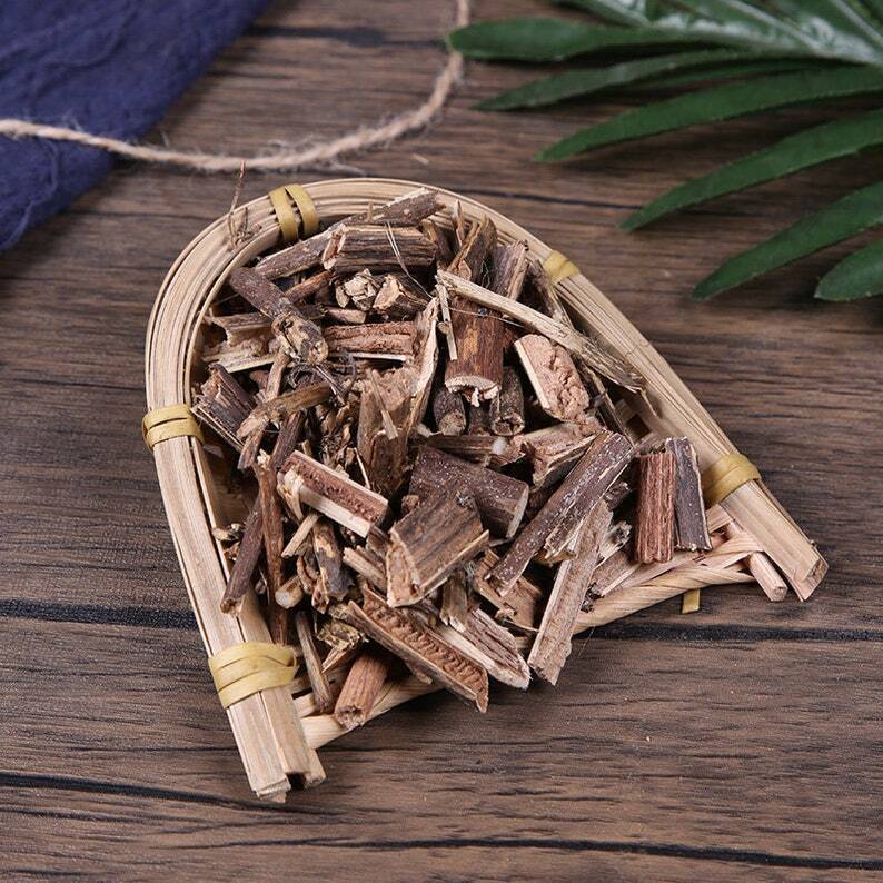 Organic Herbal Chinese Elder Sambucus Javanica Luying Great Quality