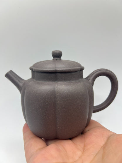 170cc chinese Yixing Handmade Zisha teapot TianQing clay FanHua Gongfu Tea pot