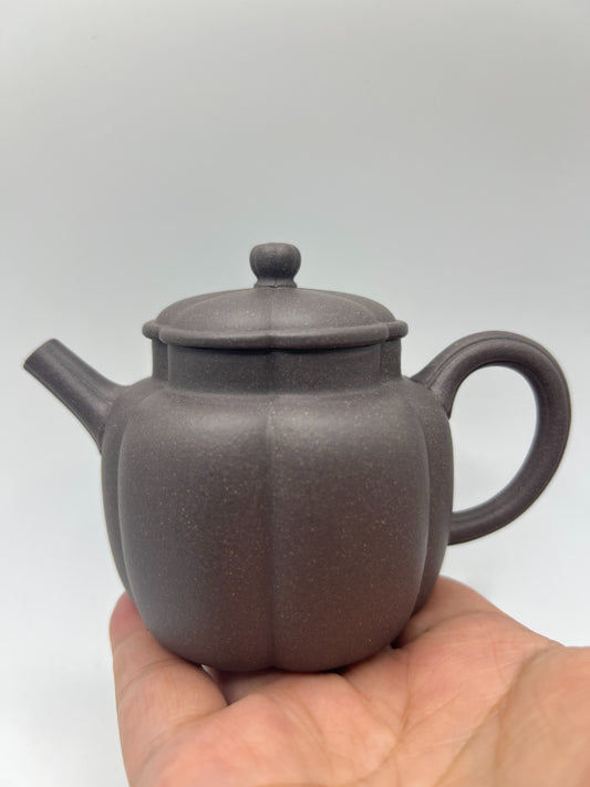 170cc chinese Yixing Handmade Zisha teapot TianQing clay FanHua Gongfu Tea pot