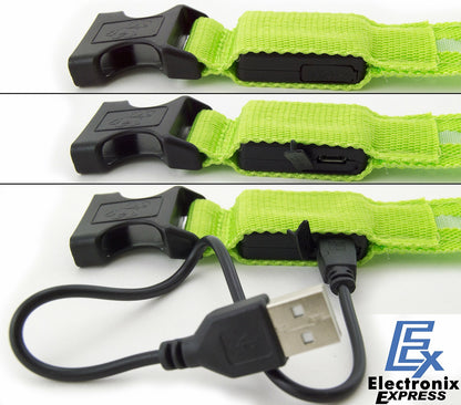 Small Green Light-Up LED Rechargeable Adjustable Pet Collar (Flashing or Steady)